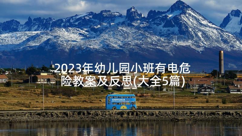 2023年幼儿园小班有电危险教案及反思(大全5篇)