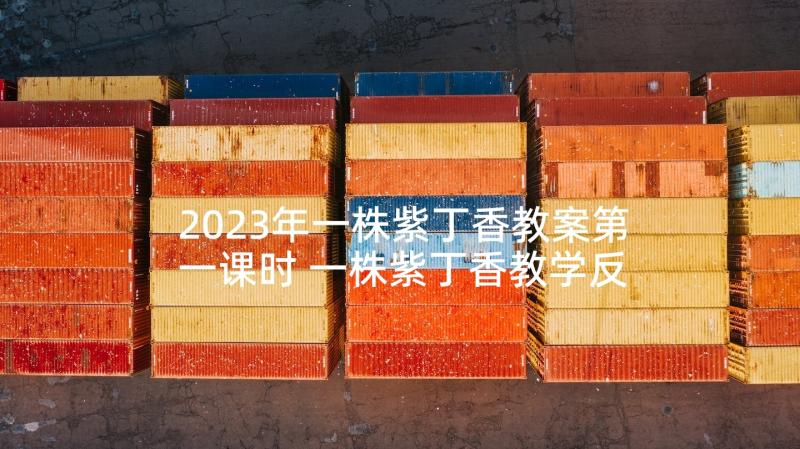 2023年一株紫丁香教案第一课时 一株紫丁香教学反思(大全7篇)