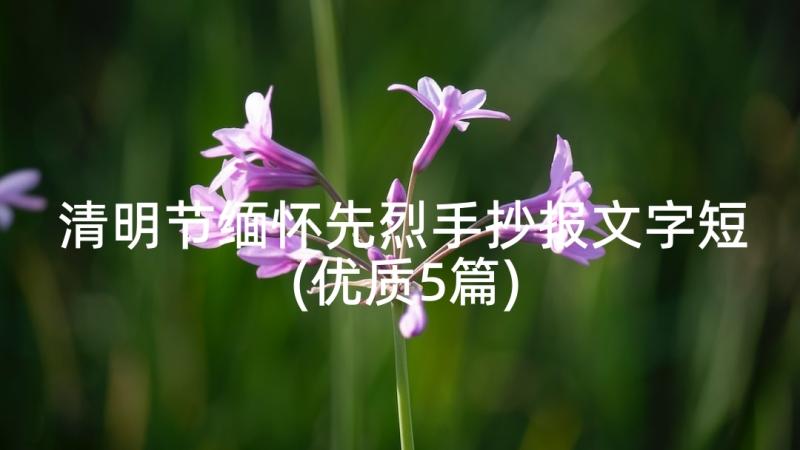 清明节缅怀先烈手抄报文字短(优质5篇)