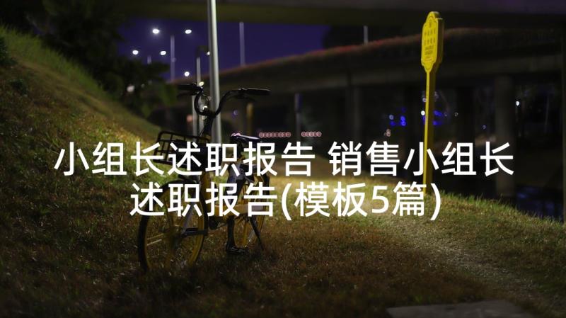 小组长述职报告 销售小组长述职报告(模板5篇)