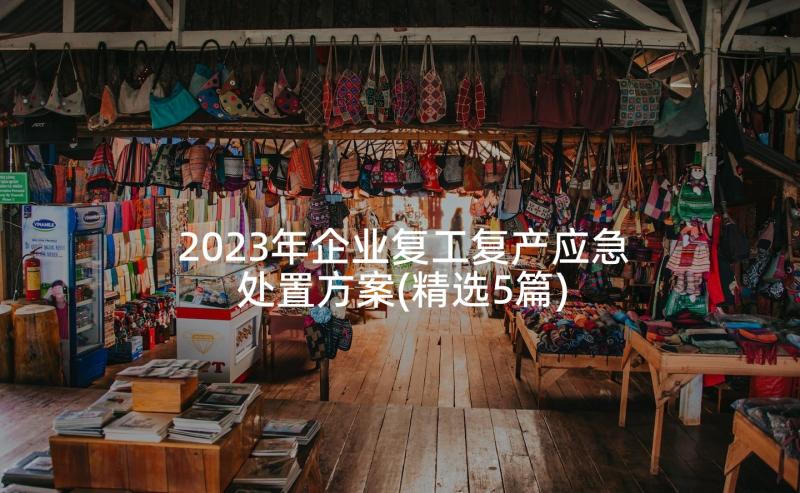 2023年企业复工复产应急处置方案(精选5篇)