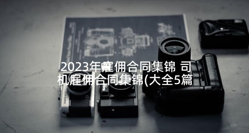 2023年雇佣合同集锦 司机雇佣合同集锦(大全5篇)