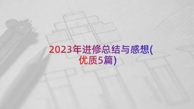 2023年进修总结与感想(优质5篇)