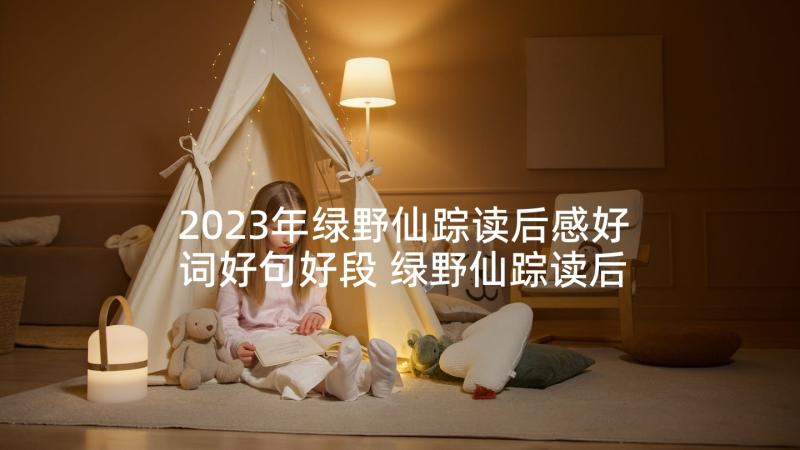 2023年绿野仙踪读后感好词好句好段 绿野仙踪读后感(汇总10篇)