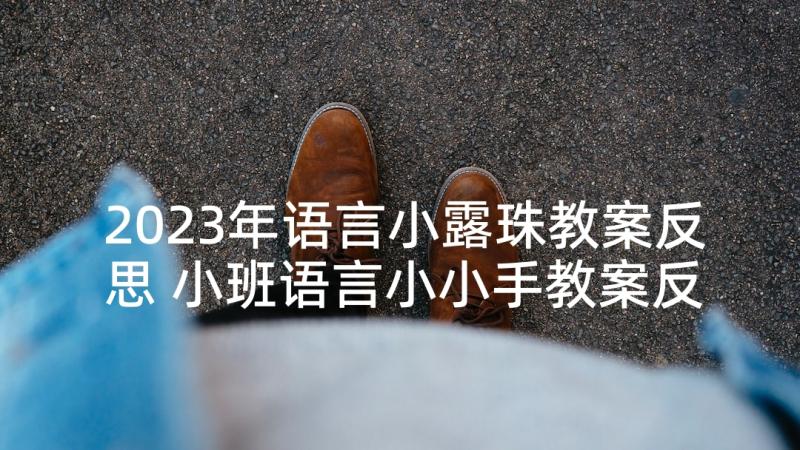 2023年语言小露珠教案反思 小班语言小小手教案反思集锦(精选5篇)