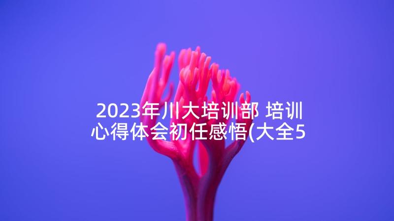 2023年川大培训部 培训心得体会初任感悟(大全5篇)