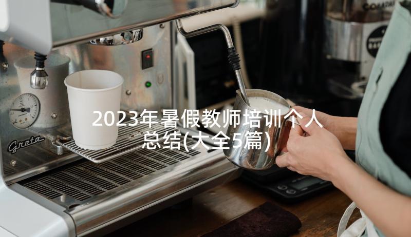 2023年暑假教师培训个人总结(大全5篇)