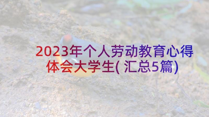 2023年个人劳动教育心得体会大学生(汇总5篇)