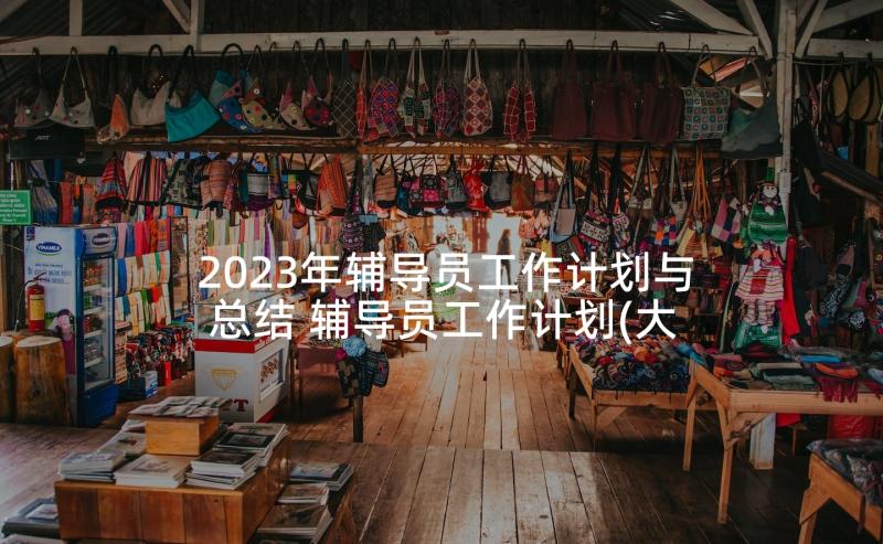 2023年辅导员工作计划与总结 辅导员工作计划(大全5篇)