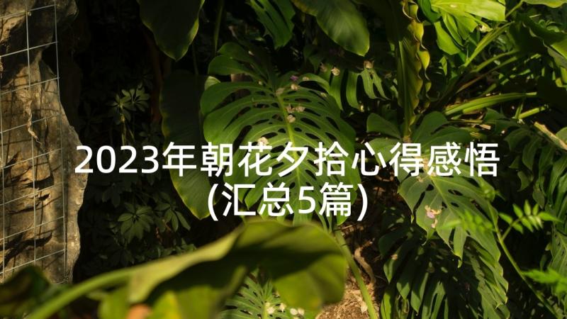 2023年朝花夕拾心得感悟(汇总5篇)