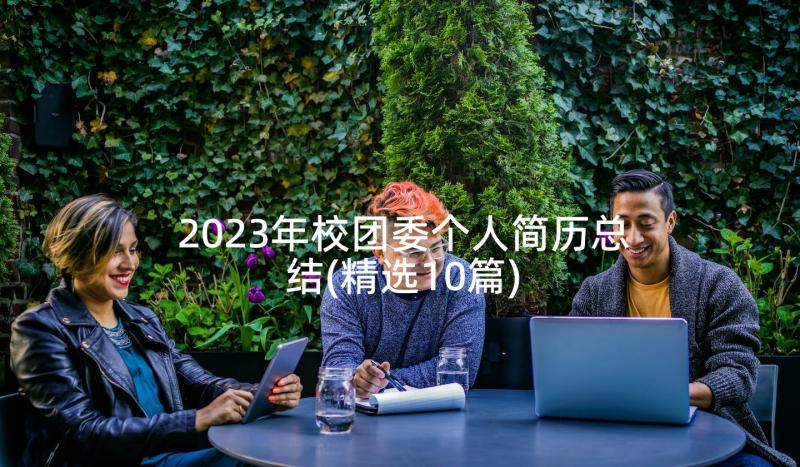 2023年校团委个人简历总结(精选10篇)