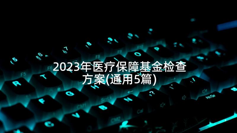 2023年医疗保障基金检查方案(通用5篇)