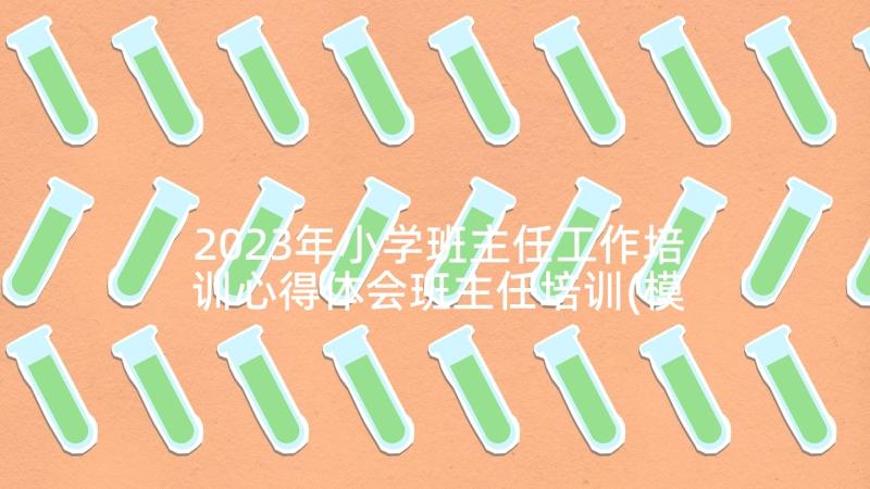 2023年小学班主任工作培训心得体会班主任培训(模板10篇)