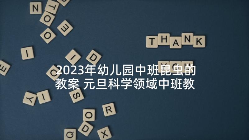 2023年幼儿园中班昆虫的教案 元旦科学领域中班教案(模板6篇)