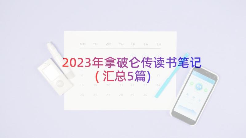 2023年拿破仑传读书笔记(汇总5篇)