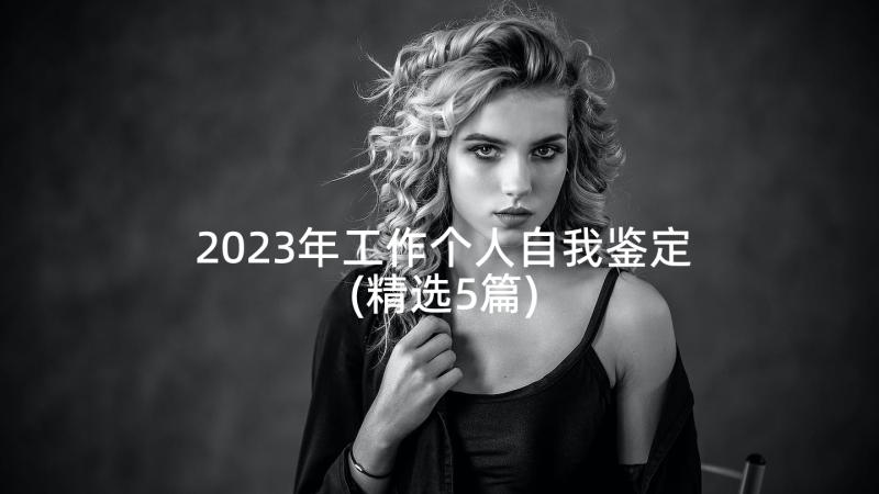 2023年工作个人自我鉴定(精选5篇)