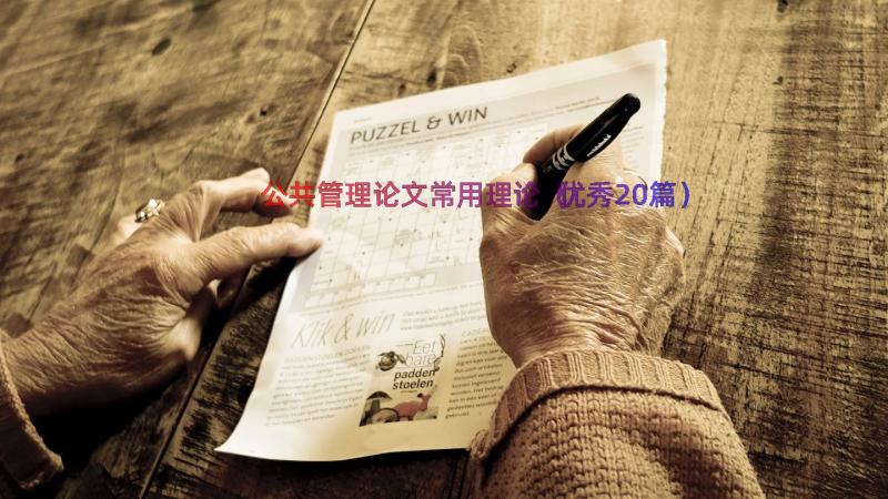 公共管理论文常用理论（优秀20篇）