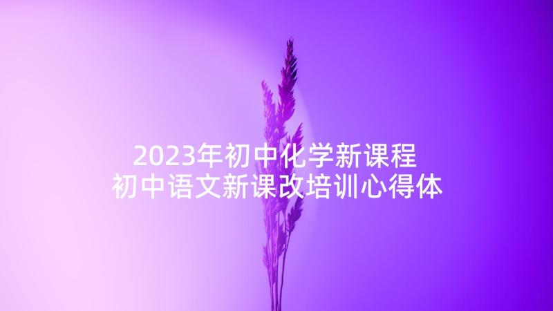 2023年初中化学新课程 初中语文新课改培训心得体会(实用5篇)