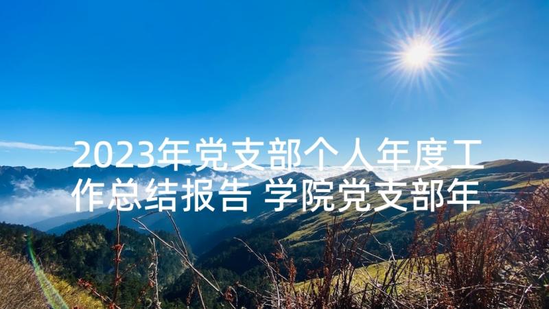 2023年党支部个人年度工作总结报告 学院党支部年度个人工作总结(实用5篇)