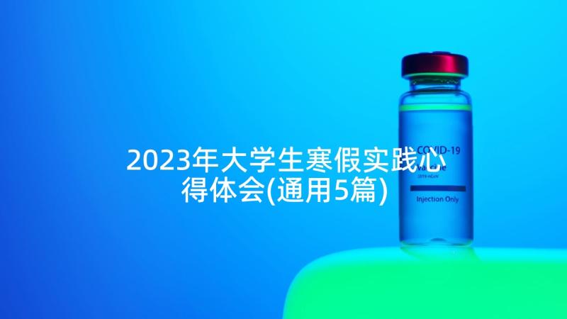 2023年大学生寒假实践心得体会(通用5篇)