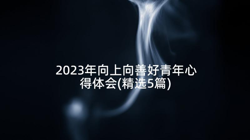 2023年向上向善好青年心得体会(精选5篇)