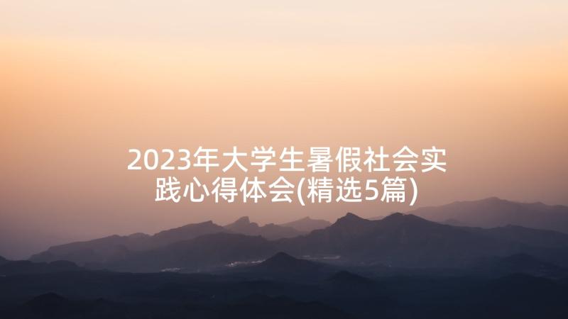 2023年大学生暑假社会实践心得体会(精选5篇)