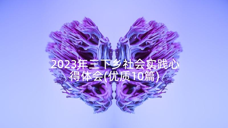 2023年三下乡社会实践心得体会(优质10篇)