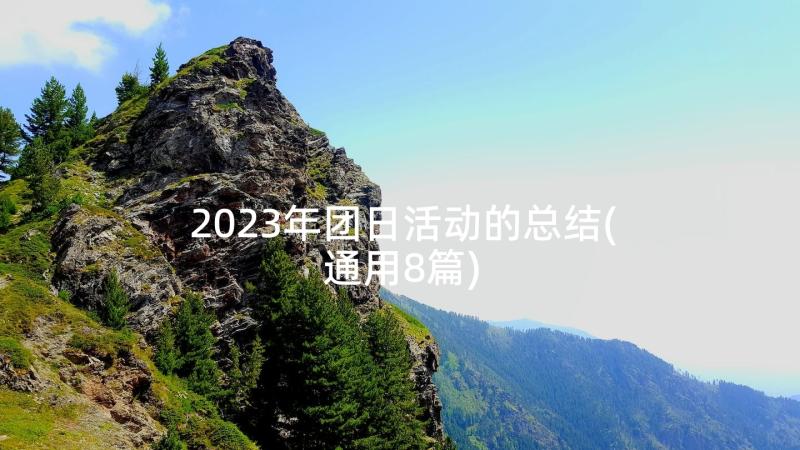 2023年团日活动的总结(通用8篇)