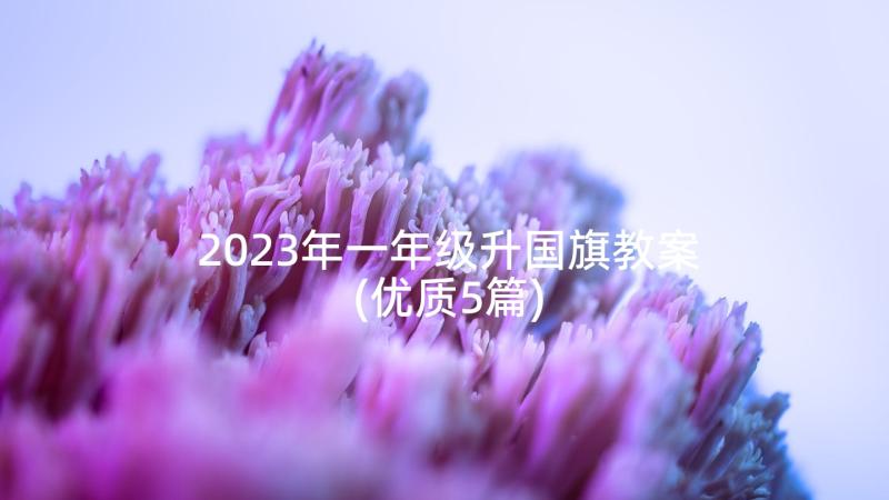 2023年一年级升国旗教案(优质5篇)