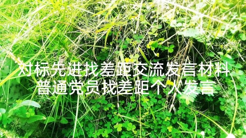 对标先进找差距交流发言材料 普通党员找差距个人发言材料(汇总5篇)