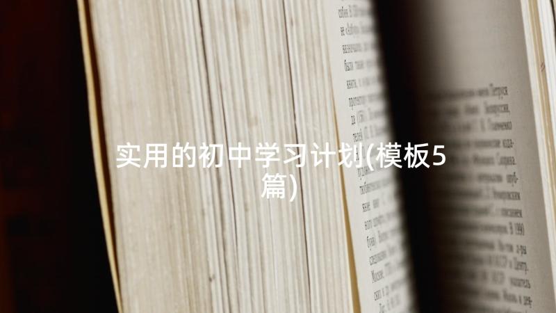 实用的初中学习计划(模板5篇)