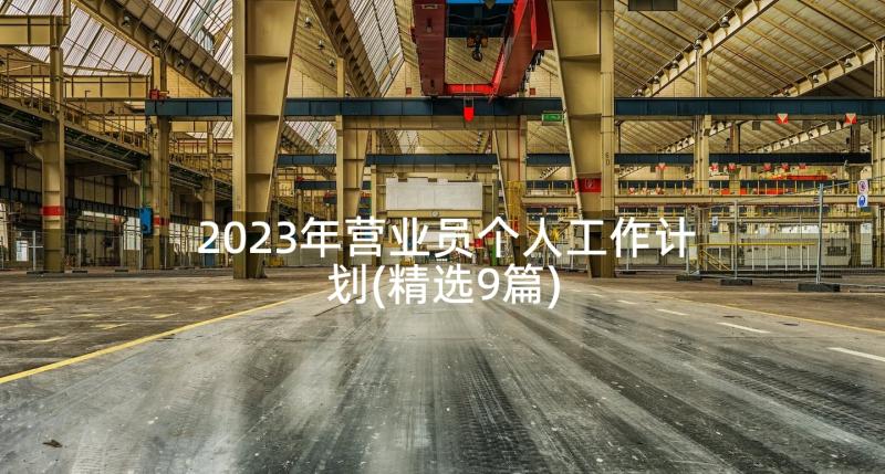 2023年营业员个人工作计划(精选9篇)