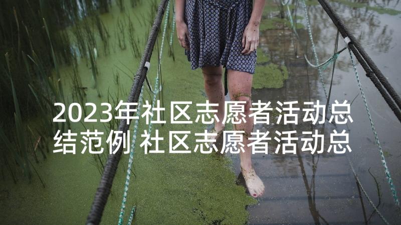 2023年社区志愿者活动总结范例 社区志愿者活动总结(精选7篇)