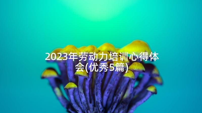 2023年劳动力培训心得体会(优秀5篇)