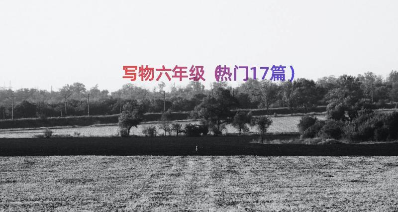 写物六年级（热门17篇）