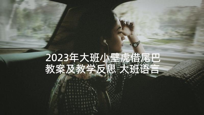 2023年大班小壁虎借尾巴教案及教学反思 大班语言教案小壁虎借尾巴(汇总5篇)