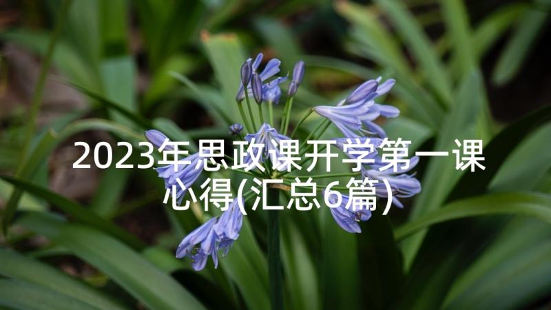 2023年思政课开学第一课心得(汇总6篇)