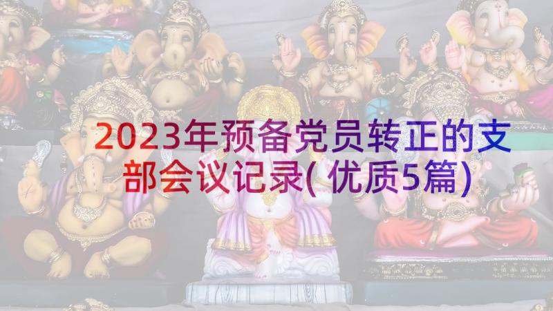 2023年预备党员转正的支部会议记录(优质5篇)