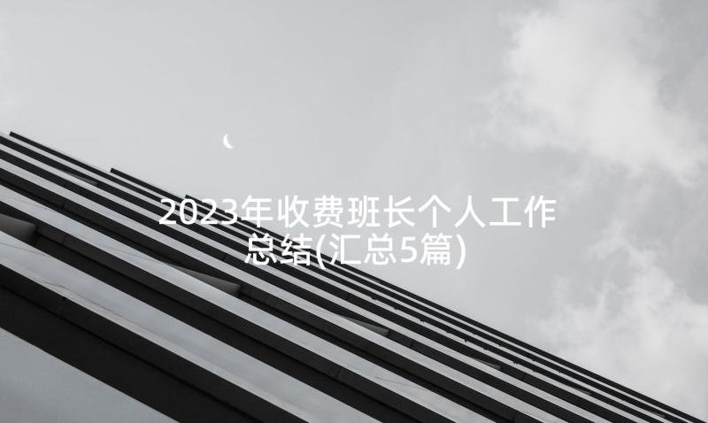 2023年收费班长个人工作总结(汇总5篇)