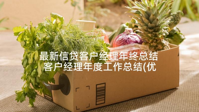 最新信贷客户经理年终总结 客户经理年度工作总结(优秀9篇)