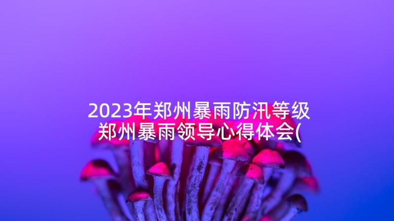 2023年郑州暴雨防汛等级 郑州暴雨领导心得体会(模板8篇)