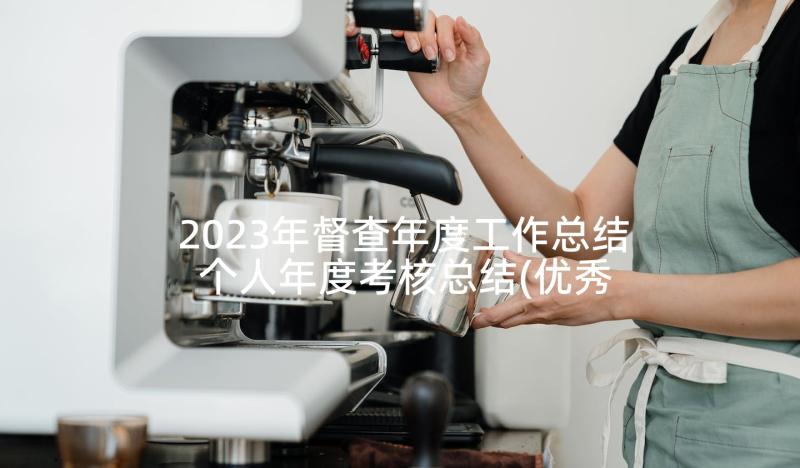 2023年督查年度工作总结 个人年度考核总结(优秀5篇)