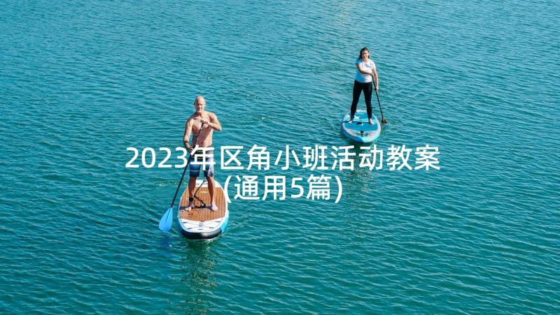 2023年区角小班活动教案(通用5篇)