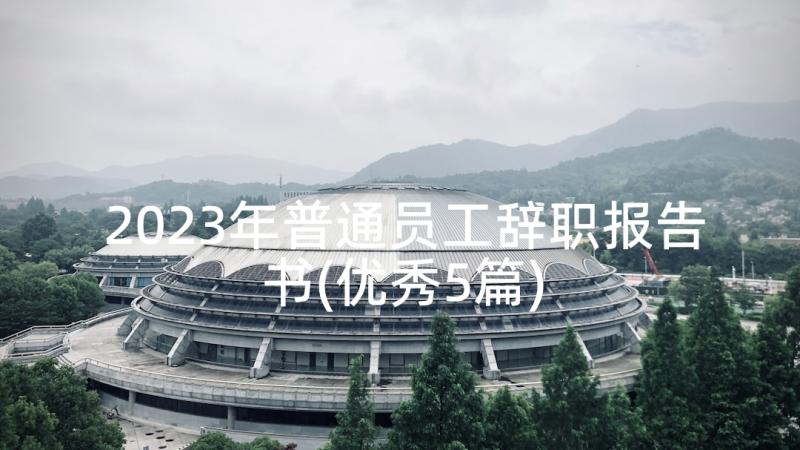 2023年普通员工辞职报告书(优秀5篇)