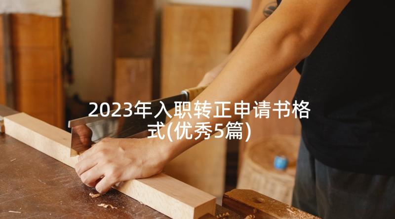 2023年入职转正申请书格式(优秀5篇)