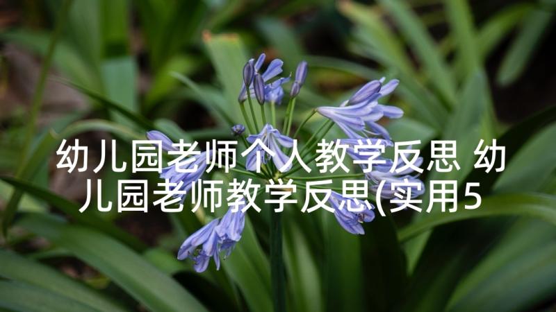 幼儿园老师个人教学反思 幼儿园老师教学反思(实用5篇)