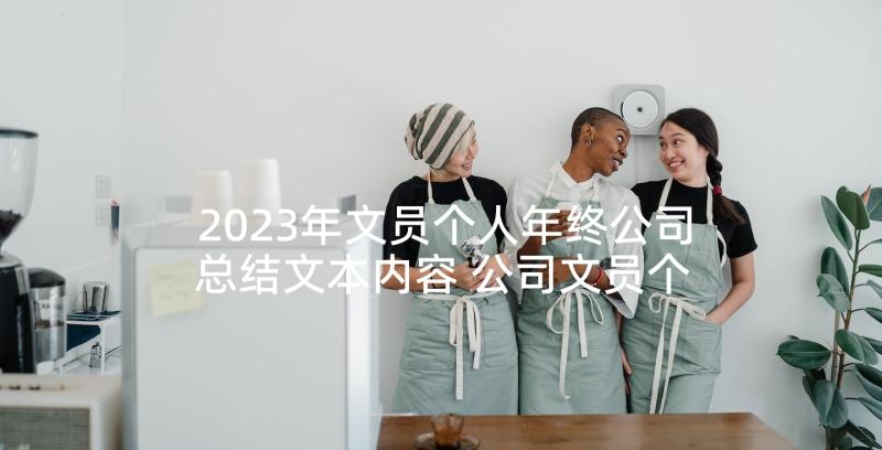 2023年文员个人年终公司总结文本内容 公司文员个人年终工作总结(通用7篇)