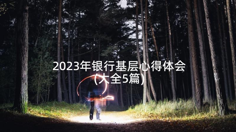 2023年银行基层心得体会(大全5篇)