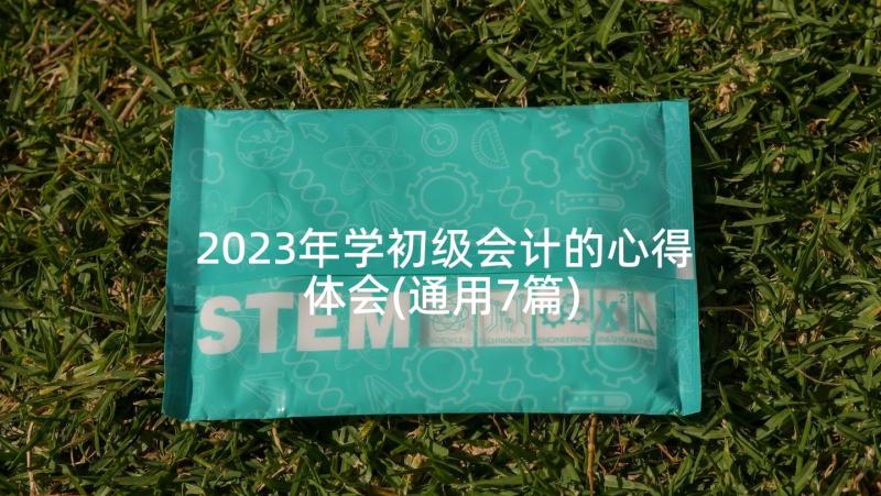 2023年学初级会计的心得体会(通用7篇)