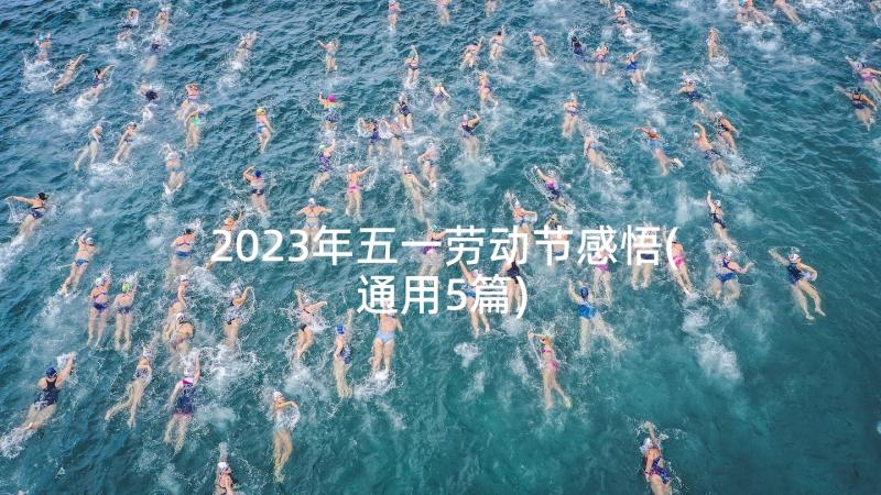 2023年五一劳动节感悟(通用5篇)